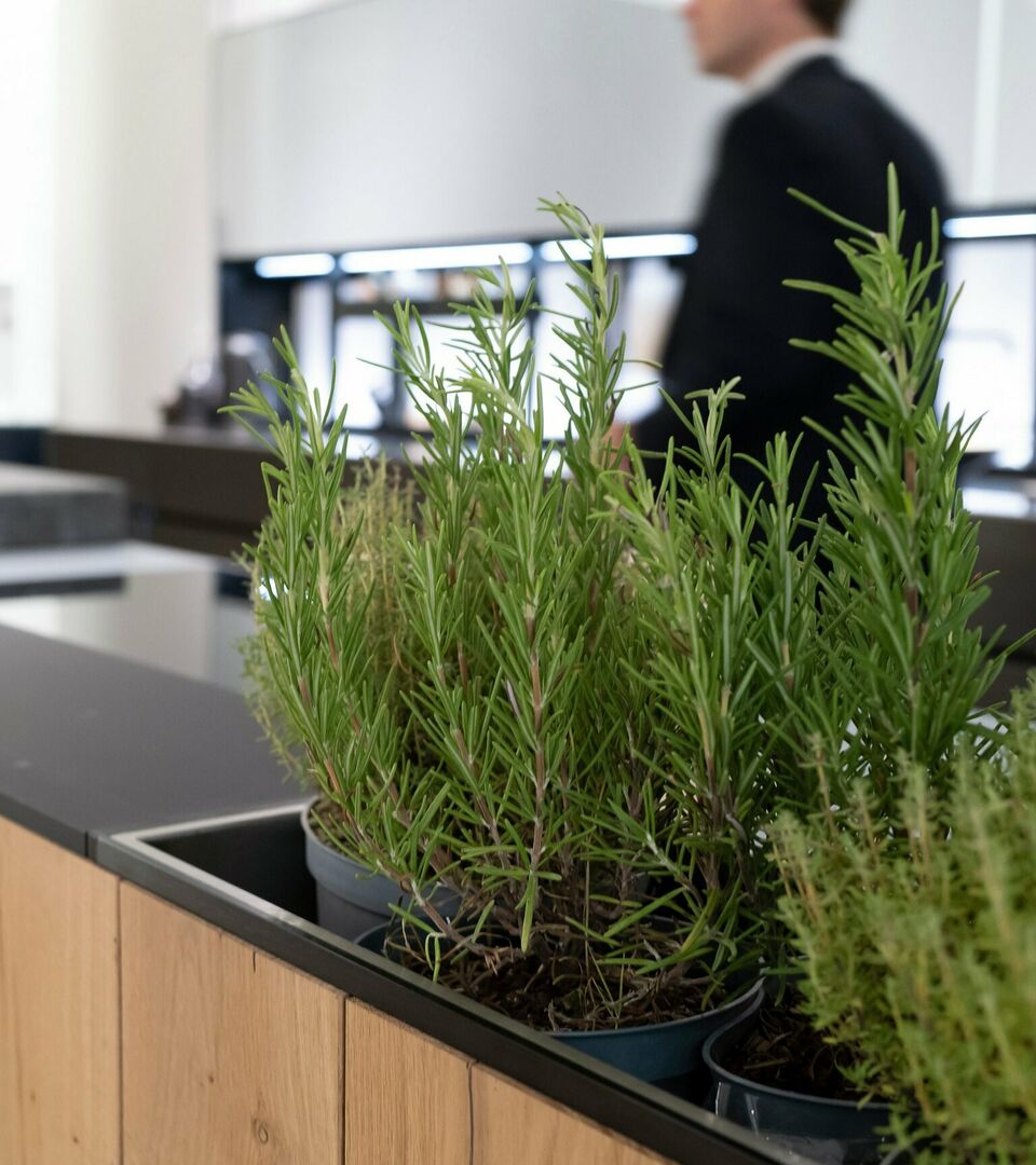 Auch Kräuter und Gewürze bekommen ihren Platz auf der Kücheninsel. © GRASS-trends.com, Foto: Valcucine